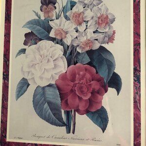 1989 Portal P J Redoute litho print Boquete de Camelias Narcisses Pansees framed